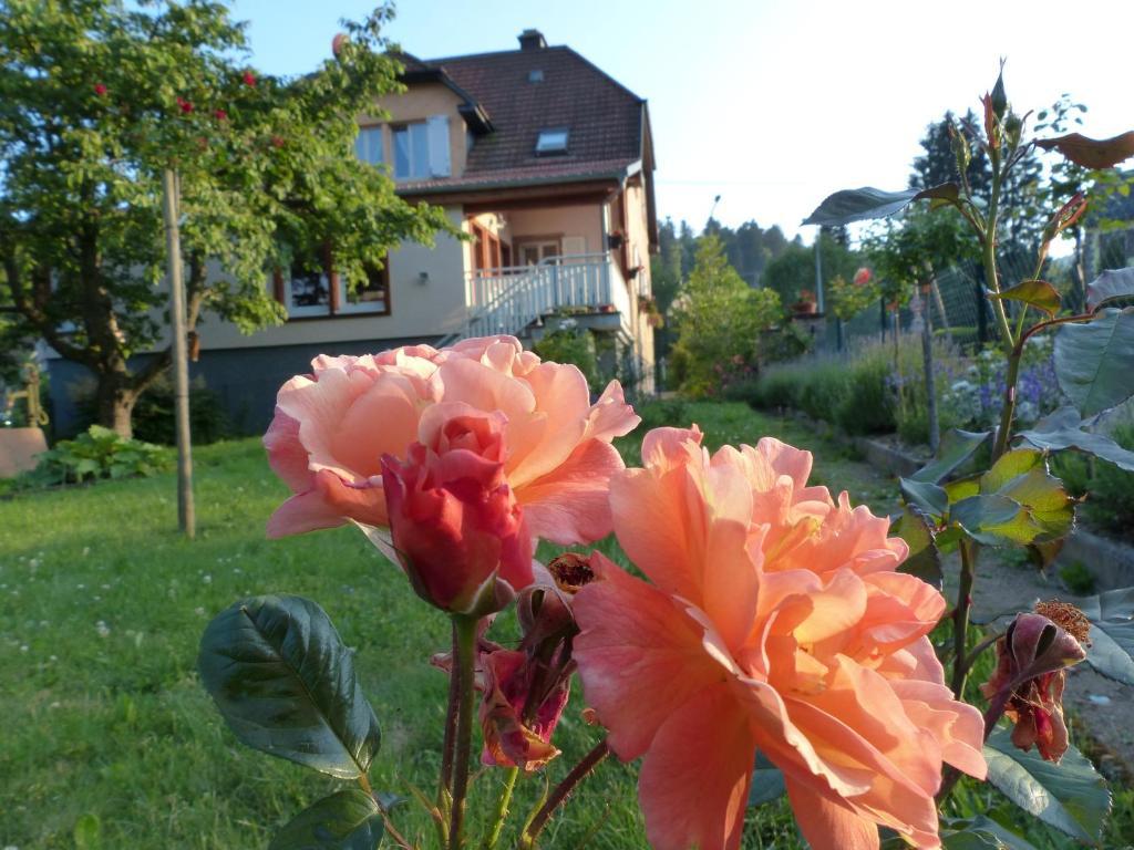 Апартаменты Locations Dupertuis Alsace Ле-Овальд Экстерьер фото