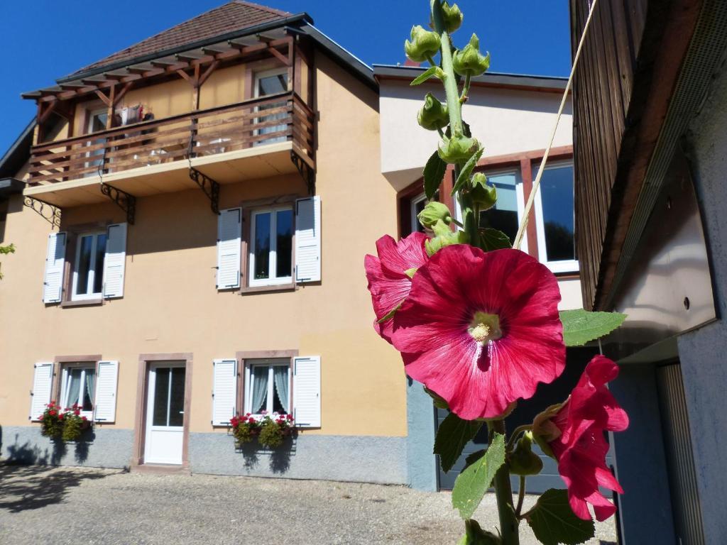 Апартаменты Locations Dupertuis Alsace Ле-Овальд Экстерьер фото