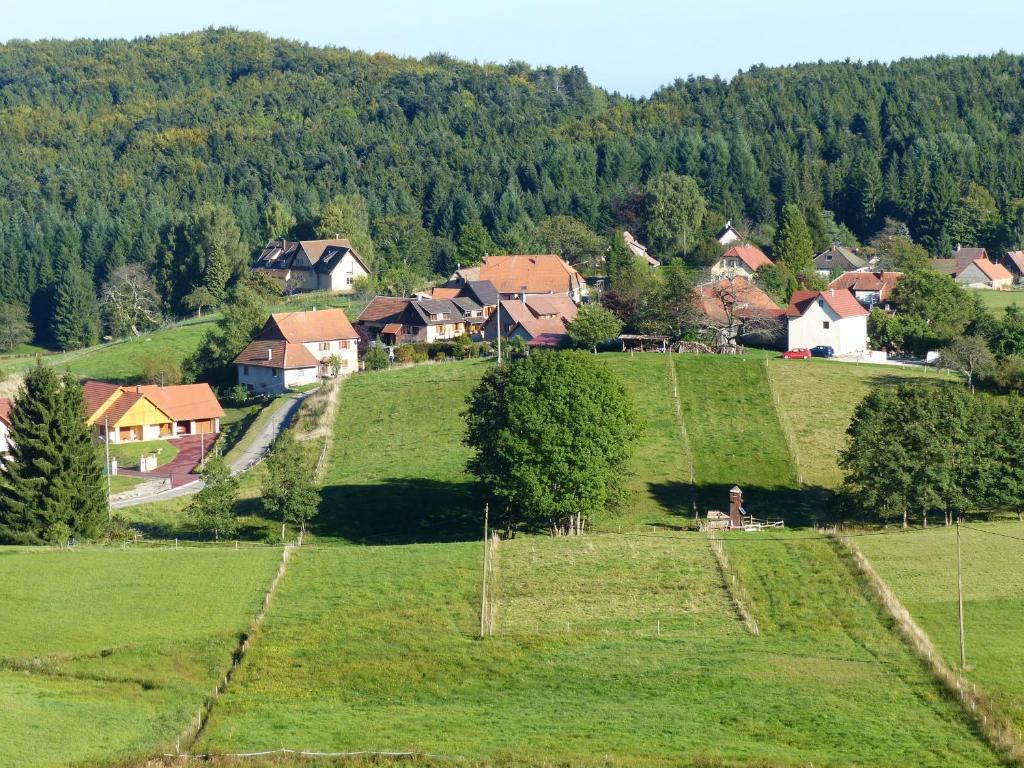Апартаменты Locations Dupertuis Alsace Ле-Овальд Номер фото